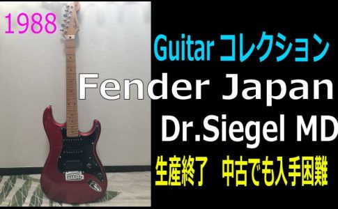 FENDER JAPAN STM-DS Custom Dr.Siegel 成毛滋 - beautifulbooze.com
